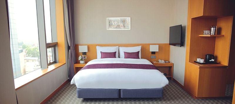 Sotetsu The Splaisir Dongdaemun 4* Seoul